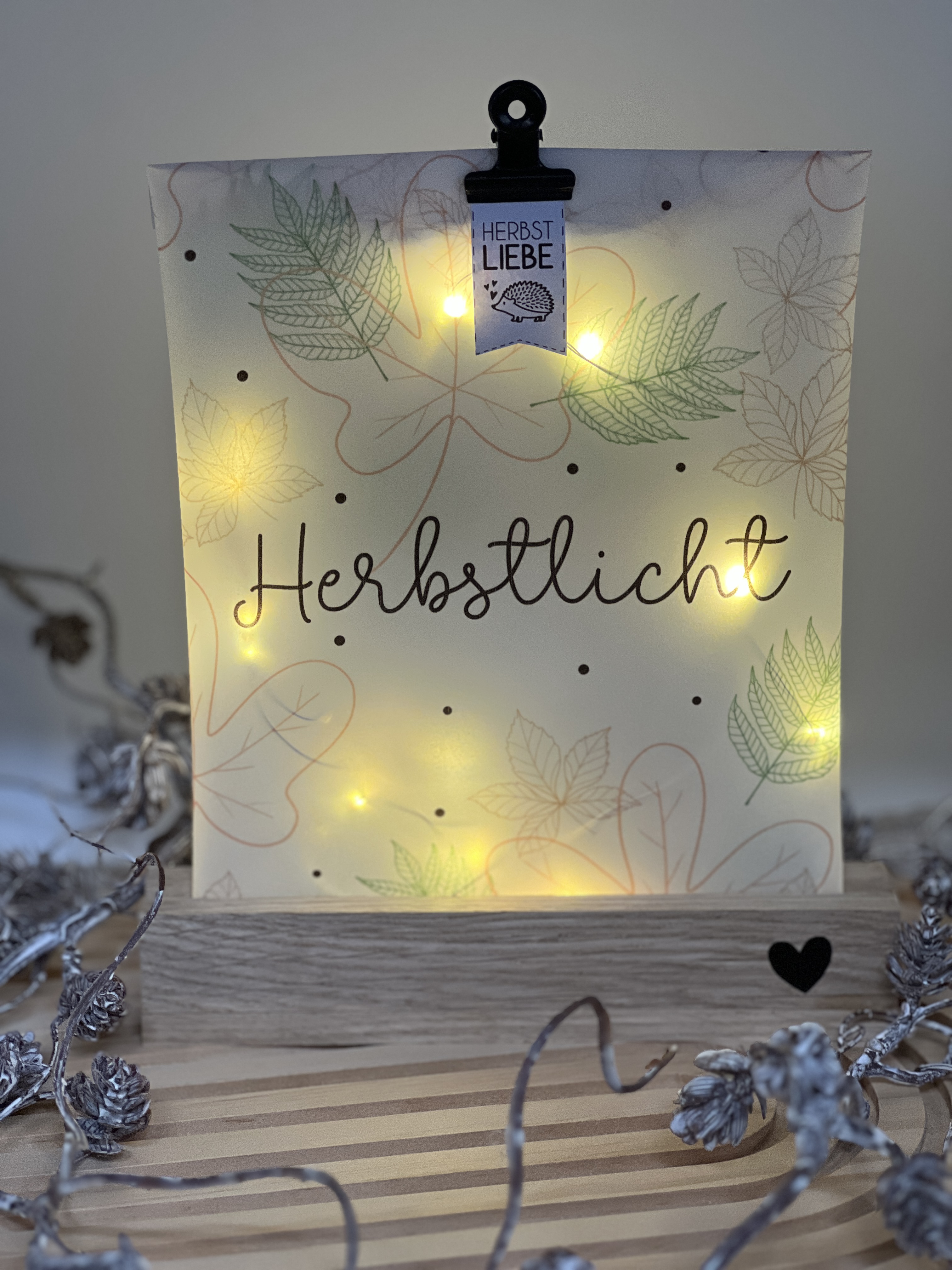 Lichttüte Herbstlicht mit LED