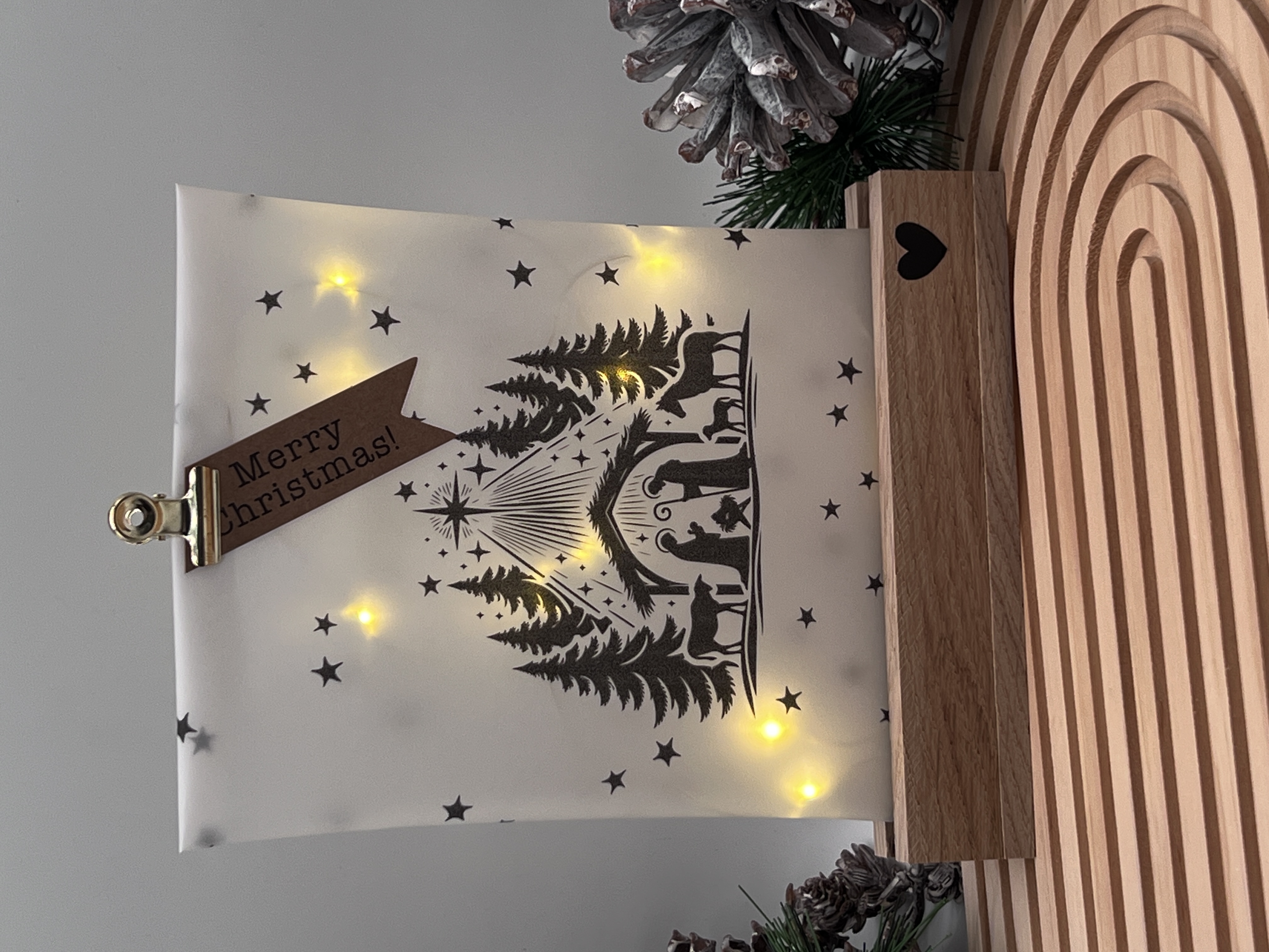 Lichttüte Krippe mit LED Lichterkette